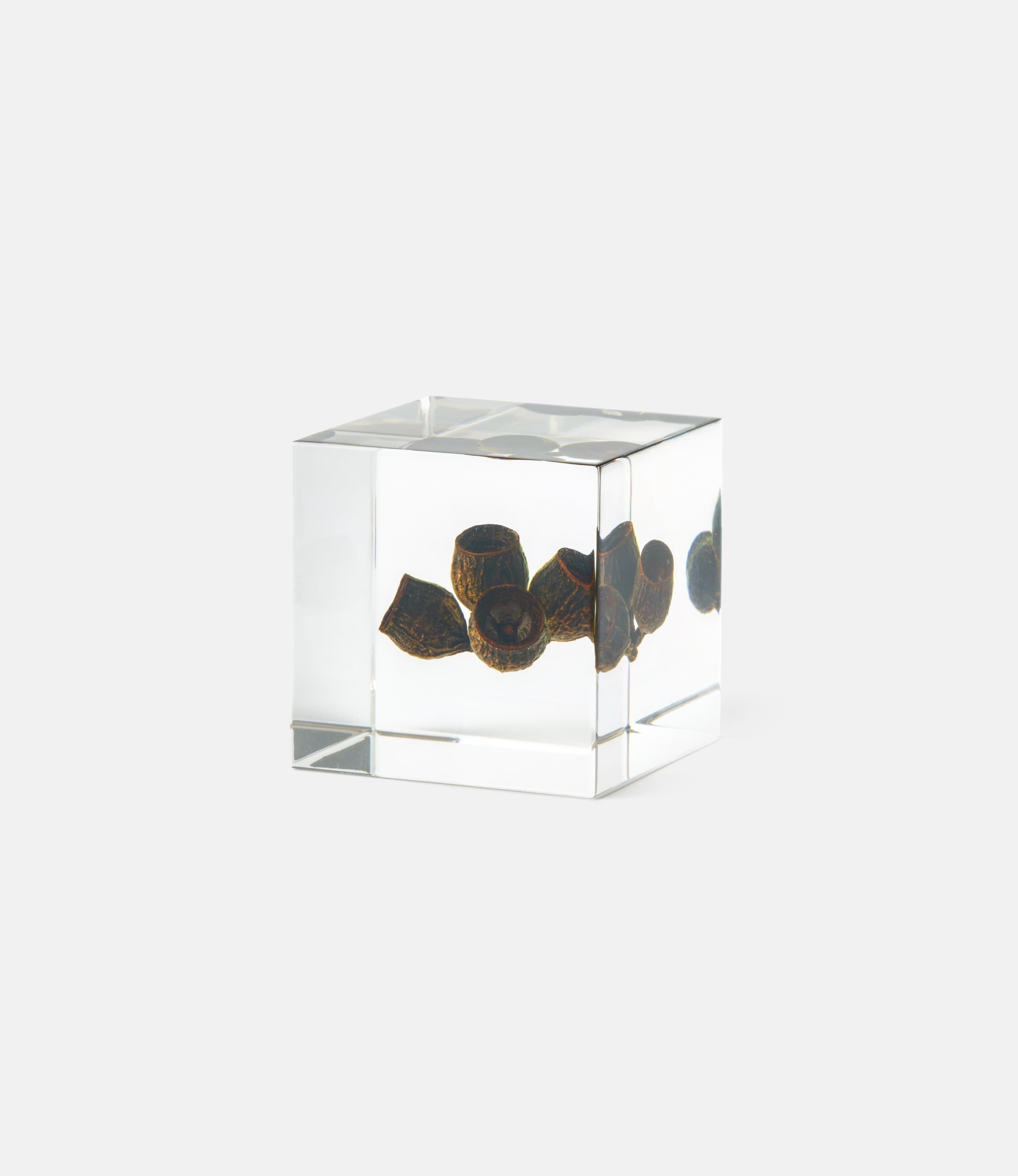 Sola Cube Eucalyptus — куб из акриловой смолы