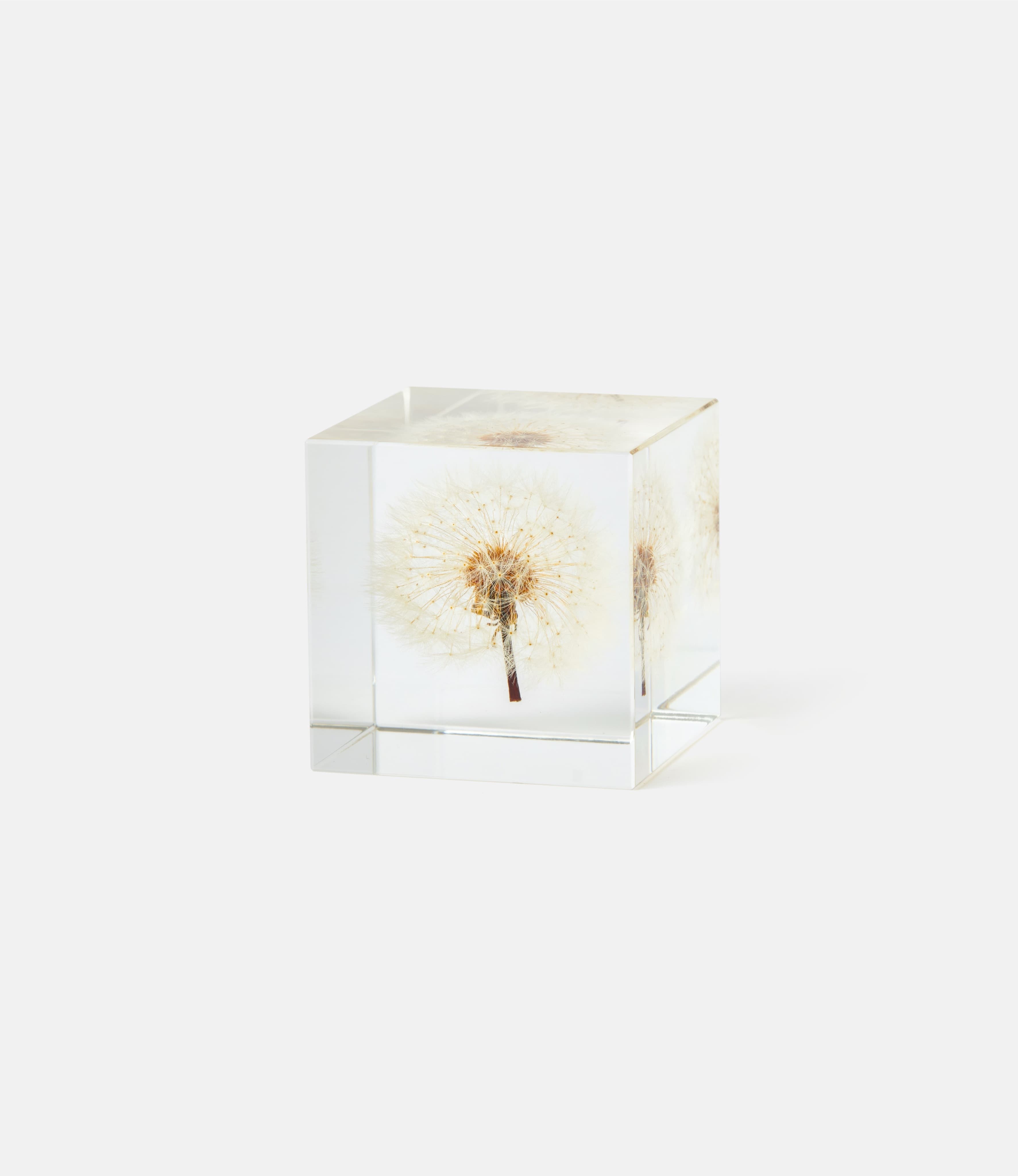 Sola Cube Dandelion Large — куб из акриловой смолы