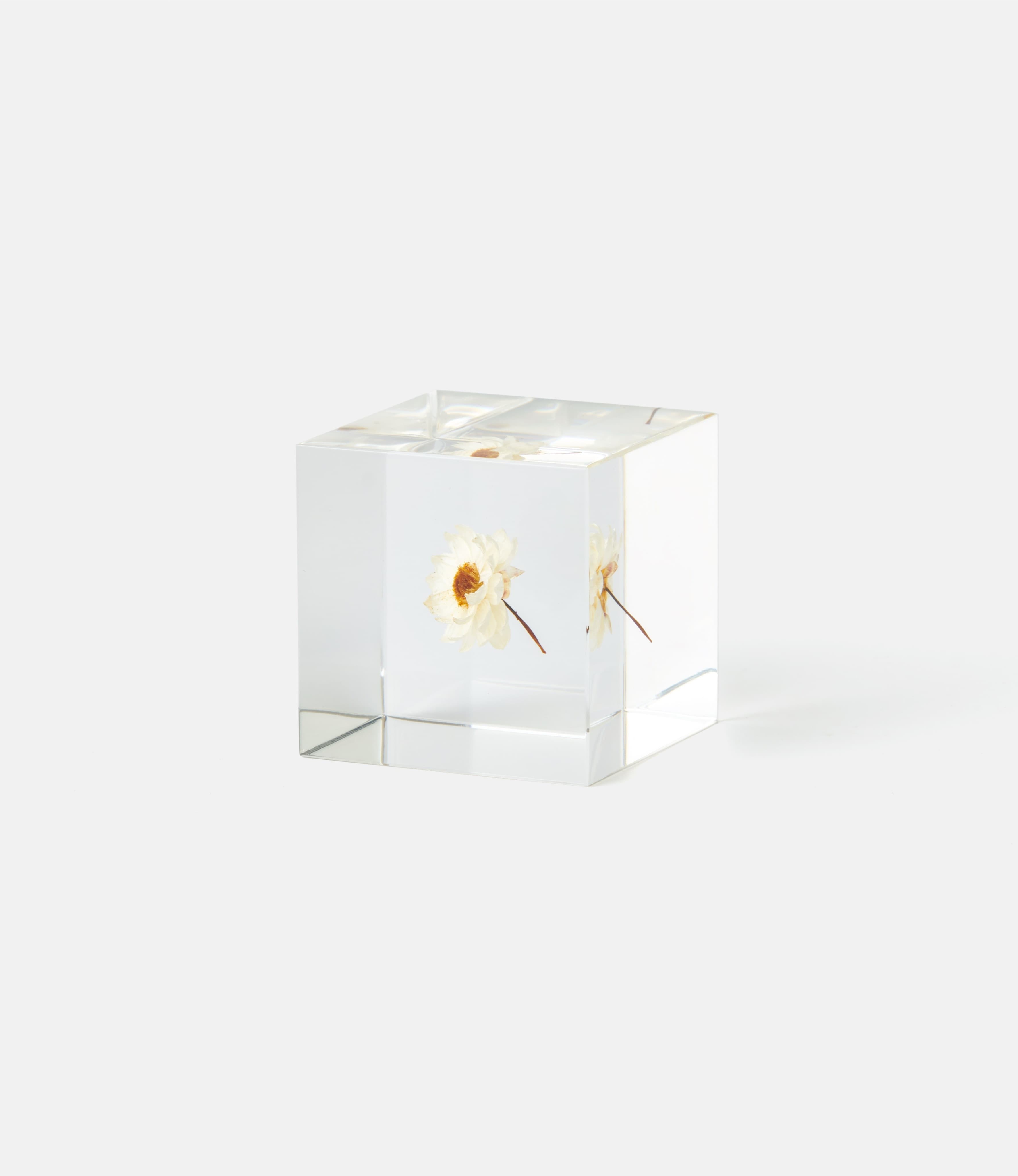 Sola Cube Chamomile Sunray — куб из акриловой смолы