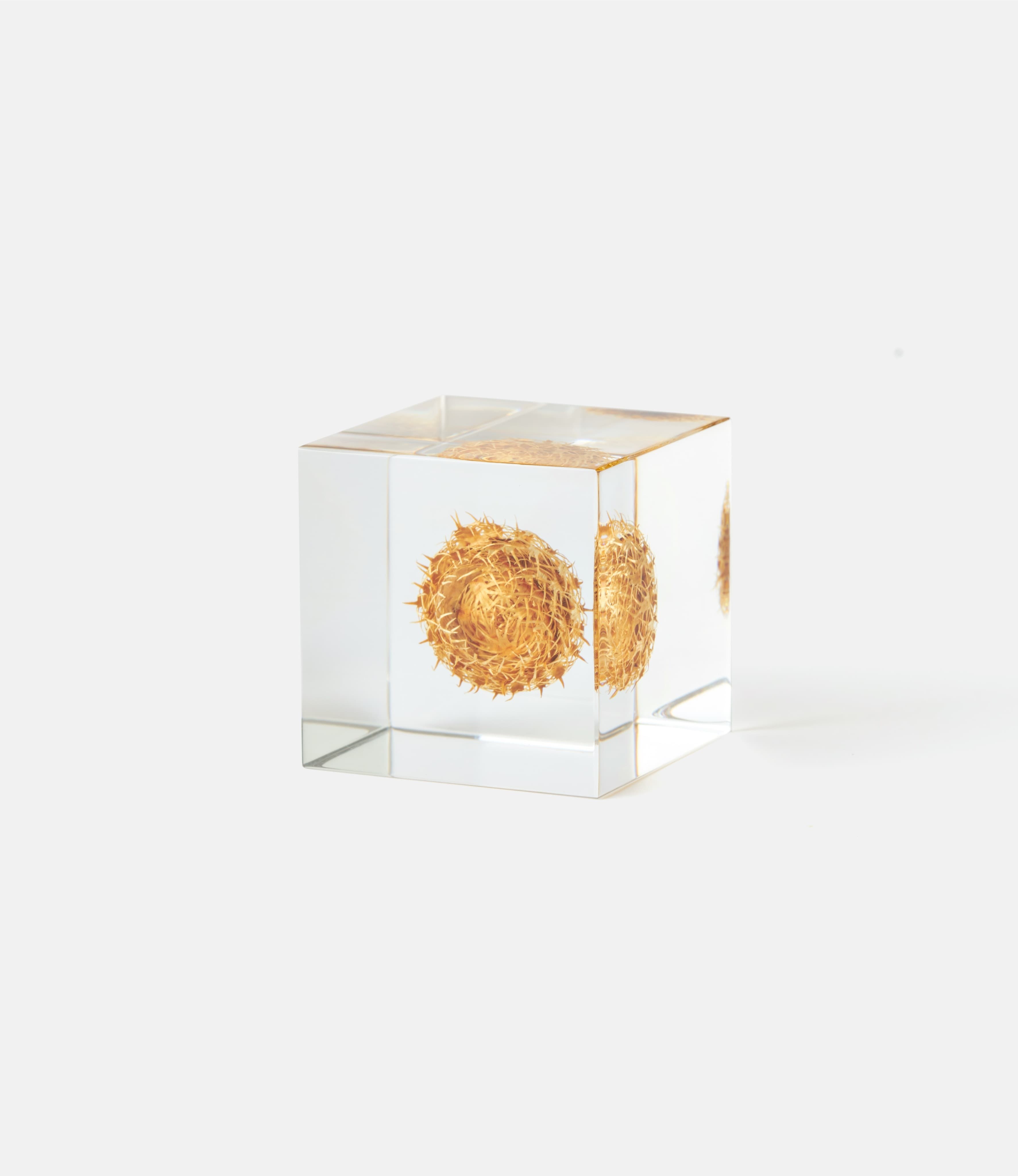 Sola Cube Basket Flower — куб из акриловой смолы