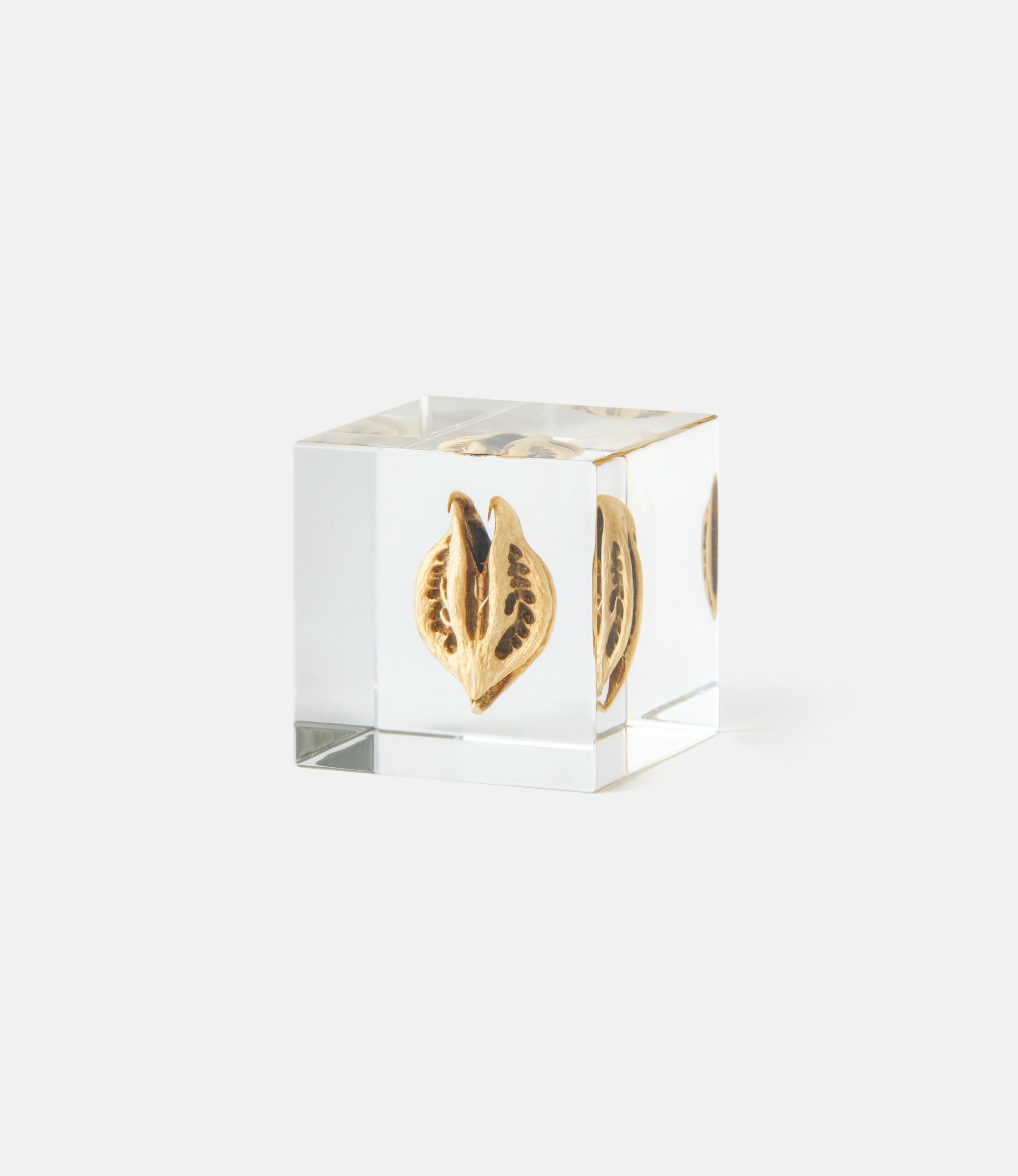 Sola Cube Tiger's Сlaw — куб из акриловой смолы