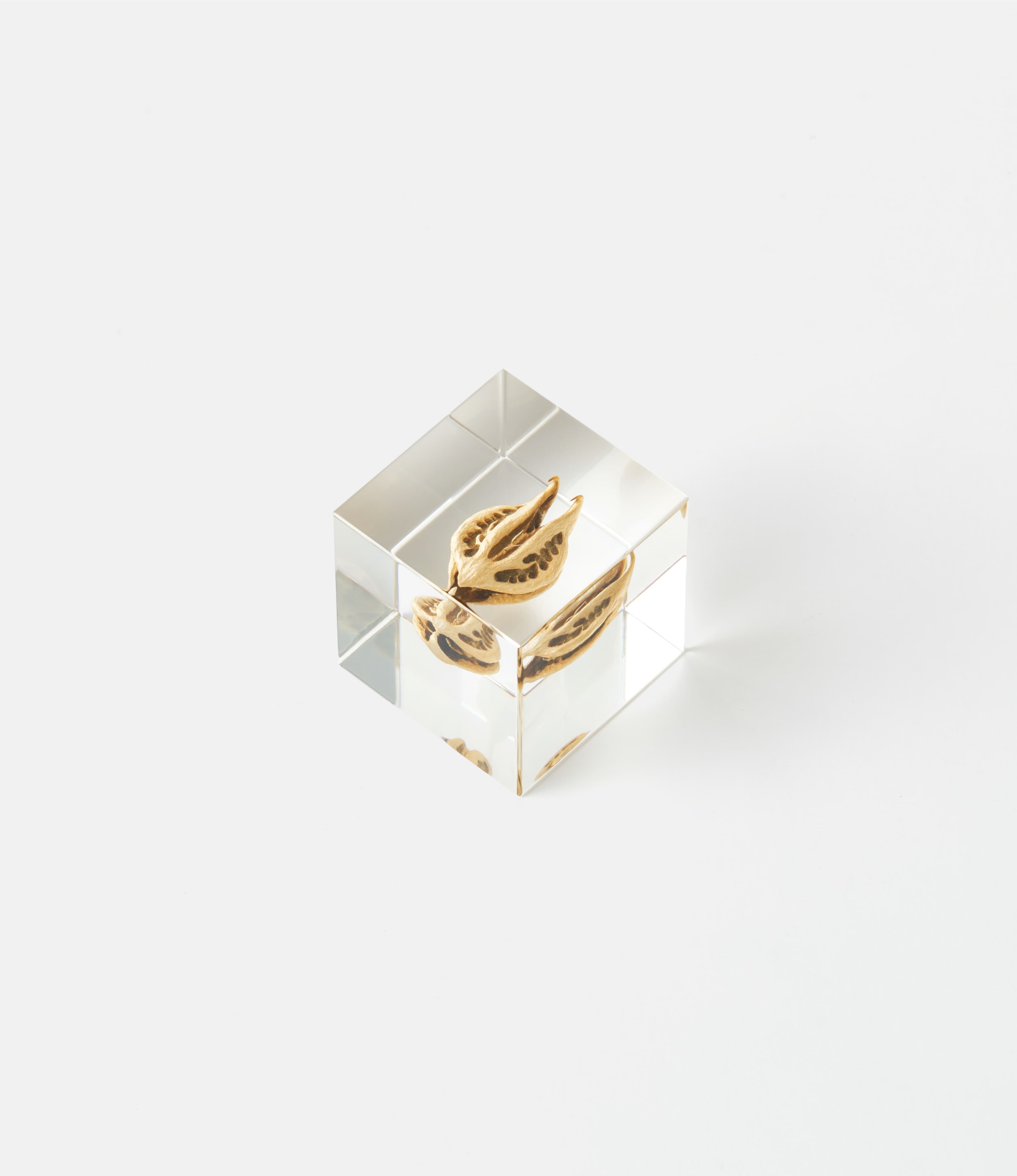 Sola Cube Tiger's Сlaw — куб из акриловой смолы
