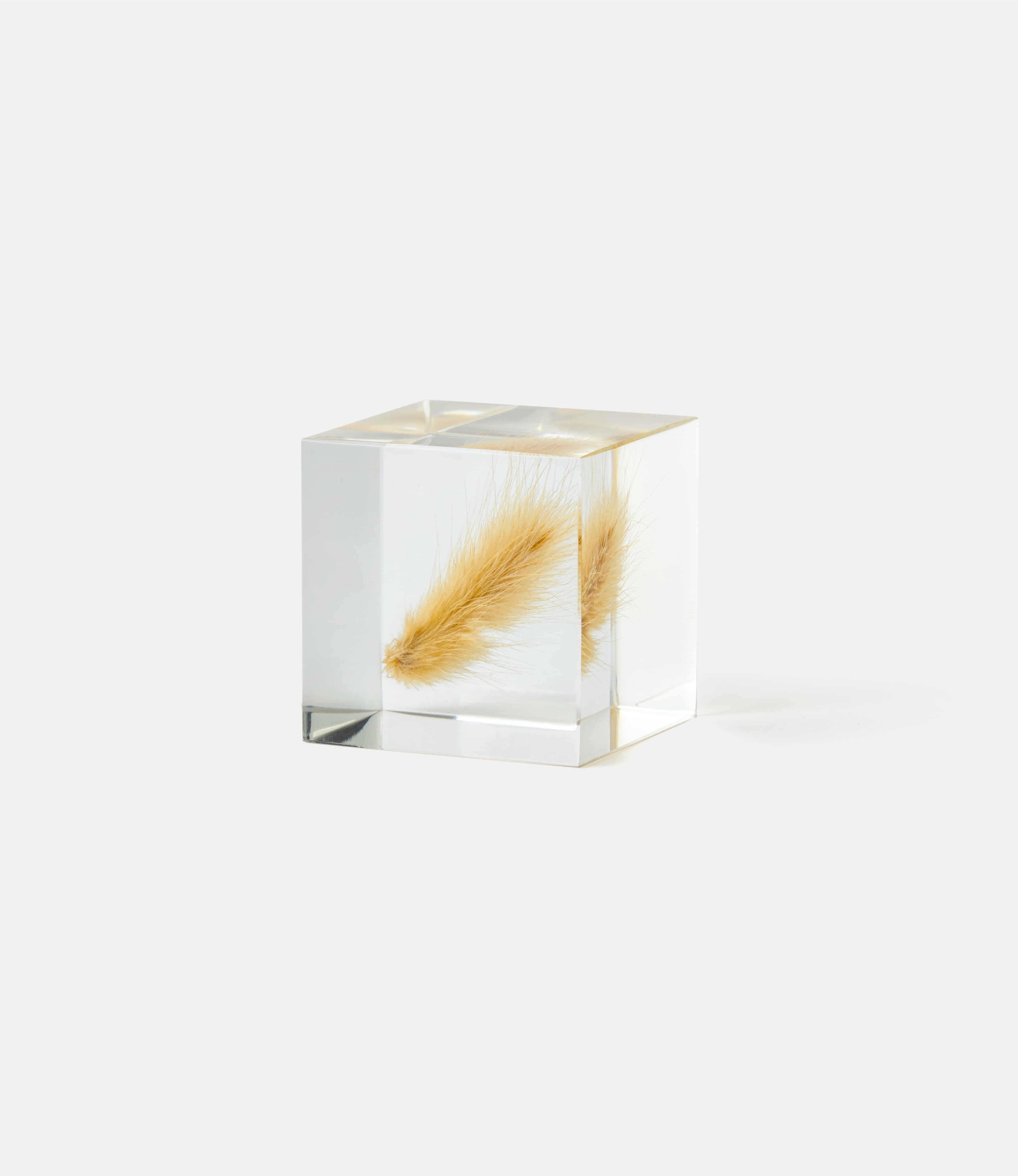 Sola Cube Bunny Tail Grass — куб из акриловой смолы